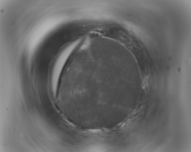 X0000065260052200602242125