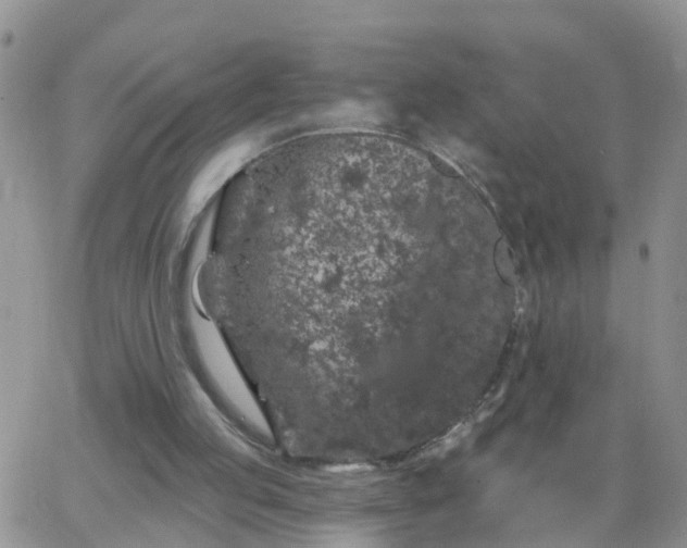 X0000065260053200602242125