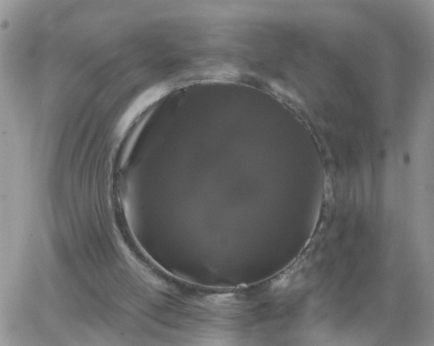 X0000065260054200602242125