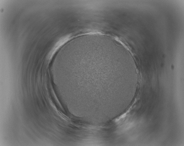 X0000065260055200602242125