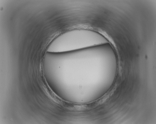 X0000065260057200602242125