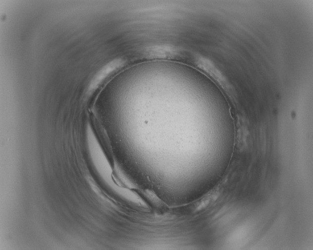 X0000065260058200602242125