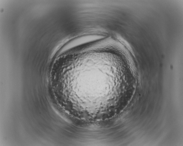 X0000065260059200602242125