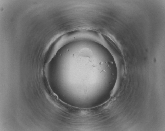 X0000065260060200602242125