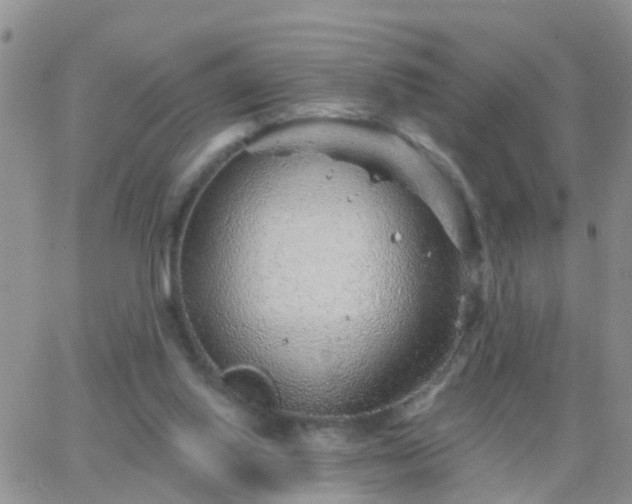 X0000065260062200602242125