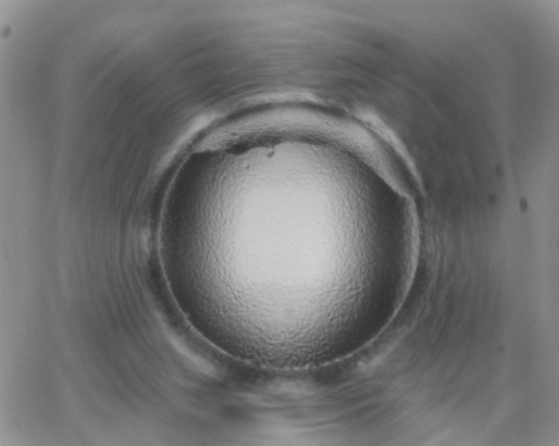 X0000065260063200602242125