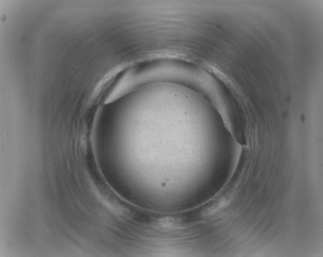 X0000065260064200602242125