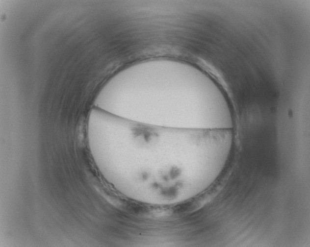 X0000065260065200602242125