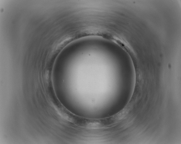 X0000065260066200602242125