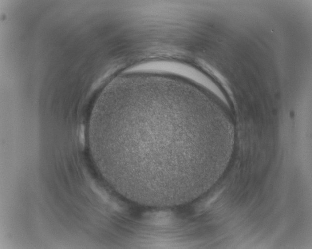 X0000065260067200602242125