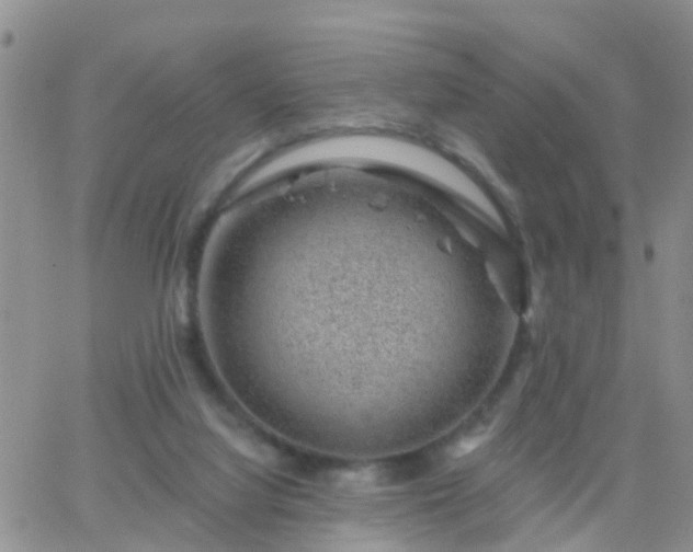 X0000065260068200602242125