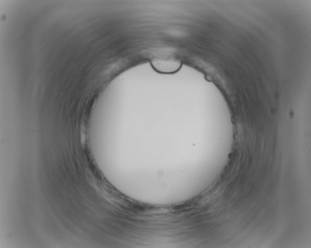 X0000065260069200602242125