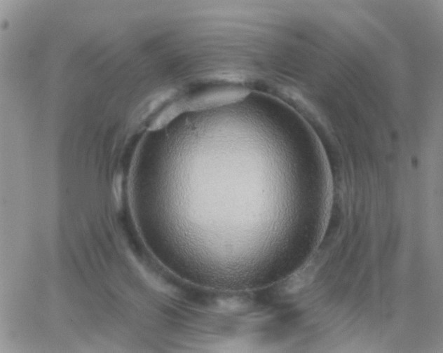 X0000065260070200602242125