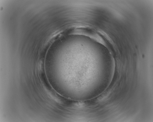 X0000065260071200602242125