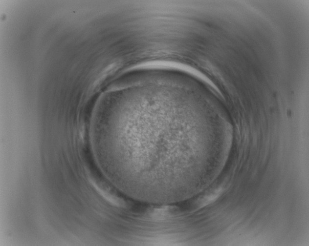 X0000065260072200602242125