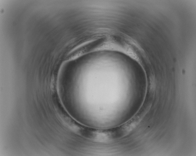 X0000065260073200602242125