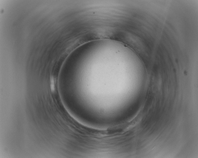 X0000065260075200602242125