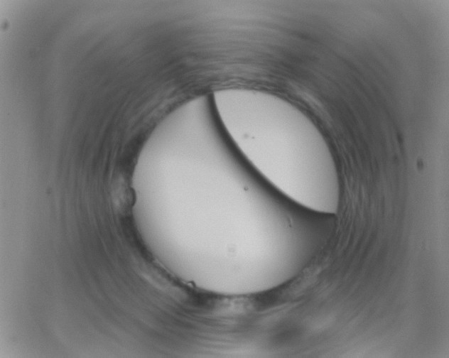 X0000065260077200602242125