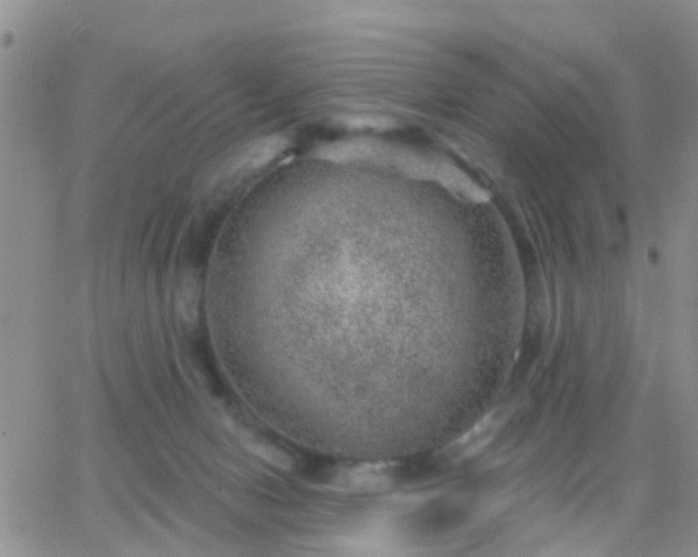 X0000065260078200602242125