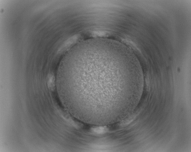 X0000065260079200602242125