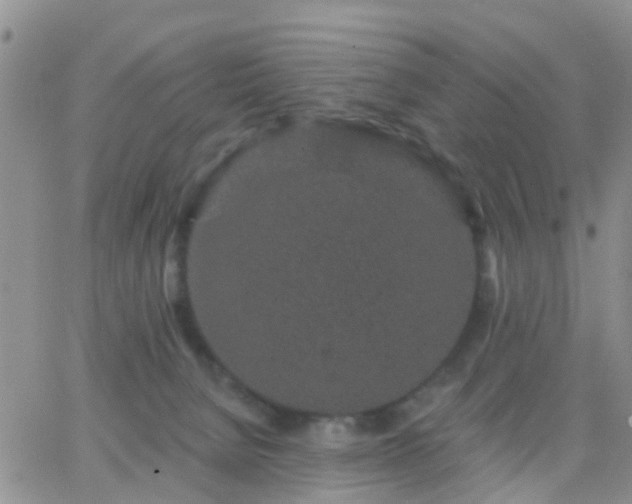 X0000065260080200602242125