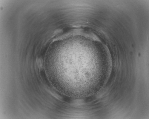 X0000065260081200602242125