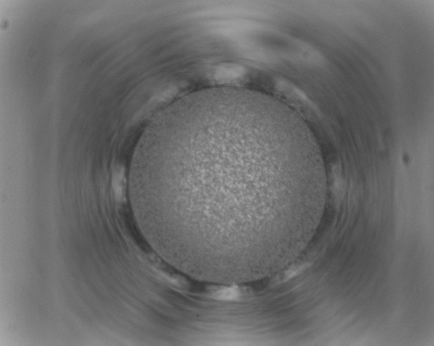 X0000065260083200602242125