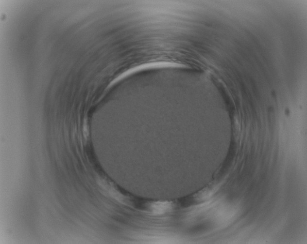 X0000065260085200602242125