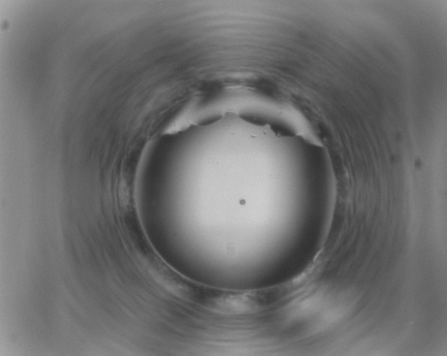 X0000065260086200602242125