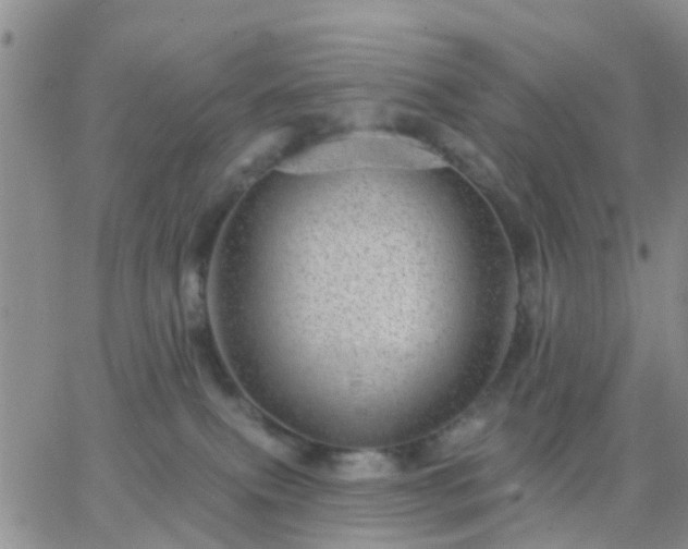 X0000065260087200602242125