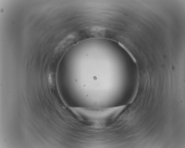 X0000065260088200602242125