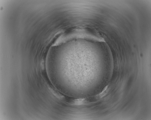 X0000065260090200602242125