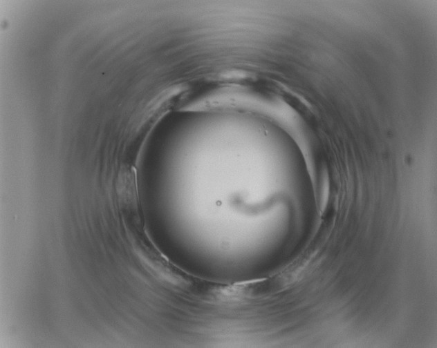 X0000065260092200602242125