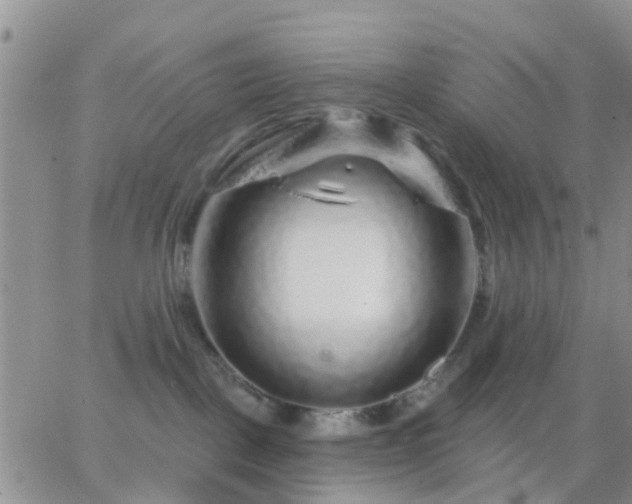 X0000065260093200602242125