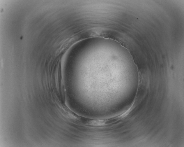 X0000065260094200602242126