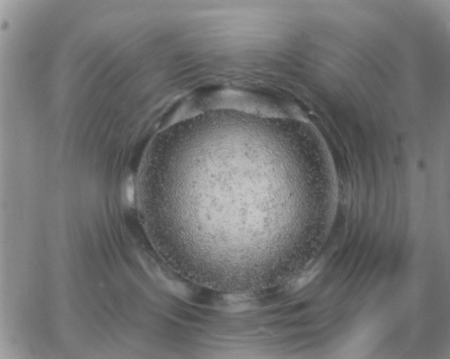 X0000065260095200602242126