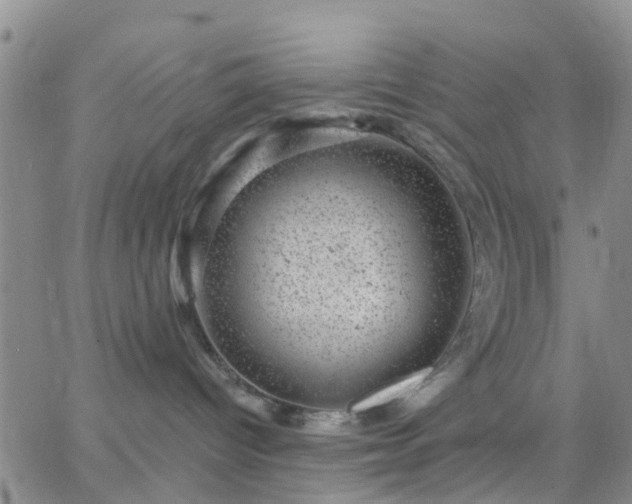 X0000065260096200602242126