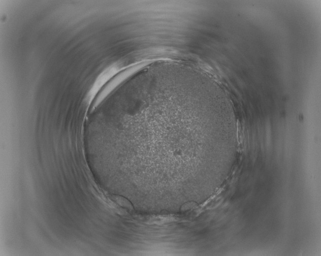 X0000065260099200602242125