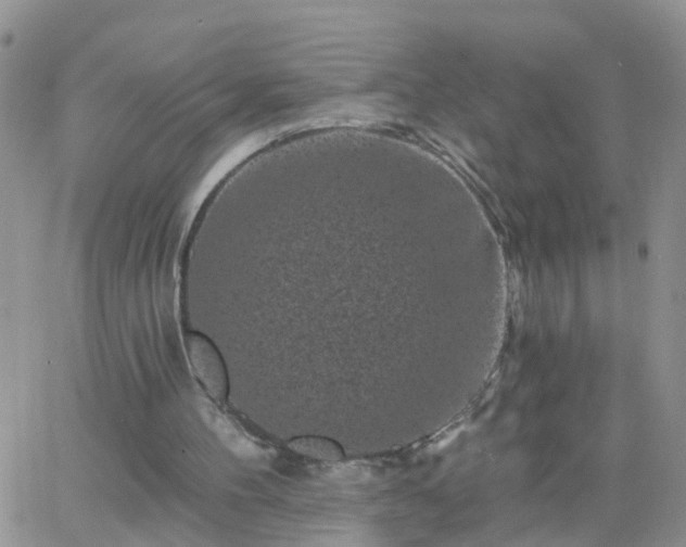 X0000065260100200602242125