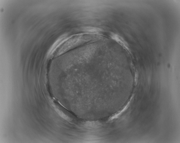 X0000065260101200602242125