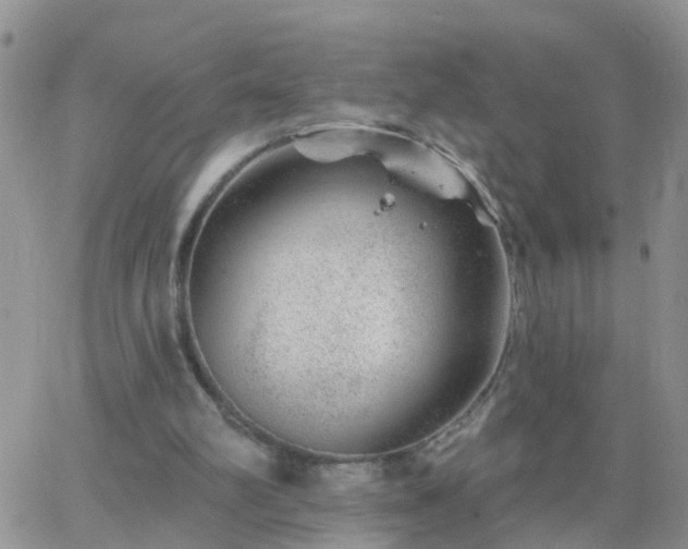 X0000065260102200602242125