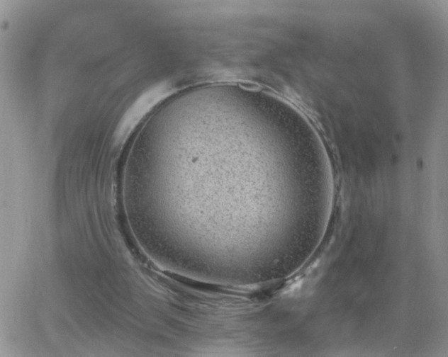 X0000065260103200602242125