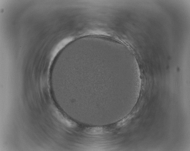 X0000065260104200602242125