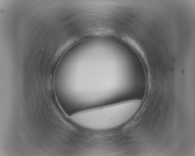 X0000065260105200602242125