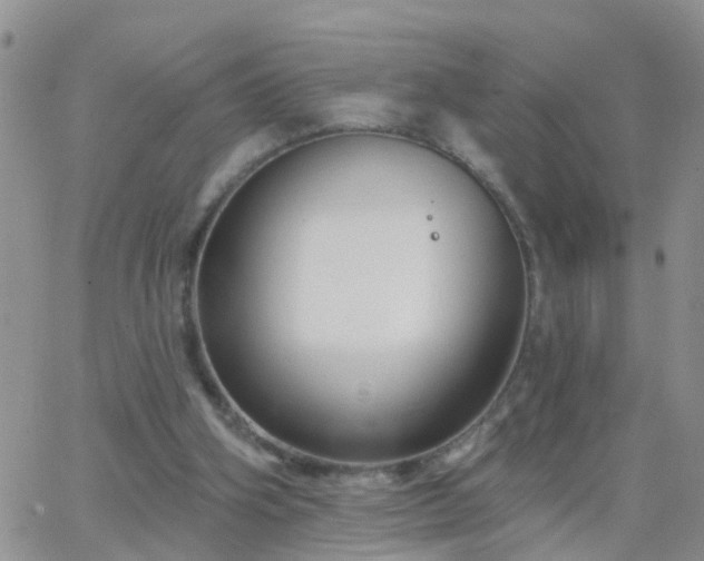 X0000065260106200602242125