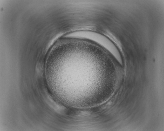 X0000065260107200602242125