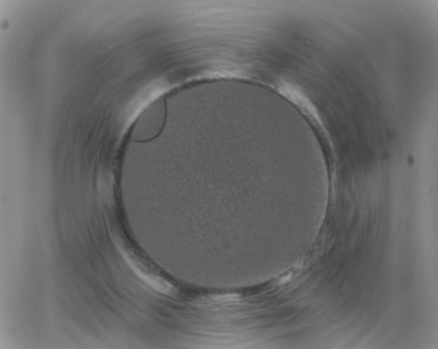 X0000065260108200602242125