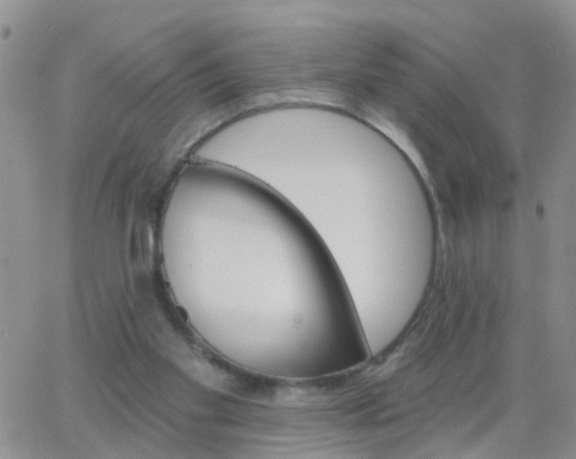 X0000065260109200602242125