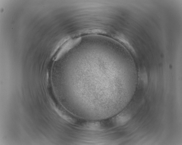 X0000065260110200602242125