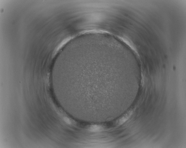 X0000065260111200602242125